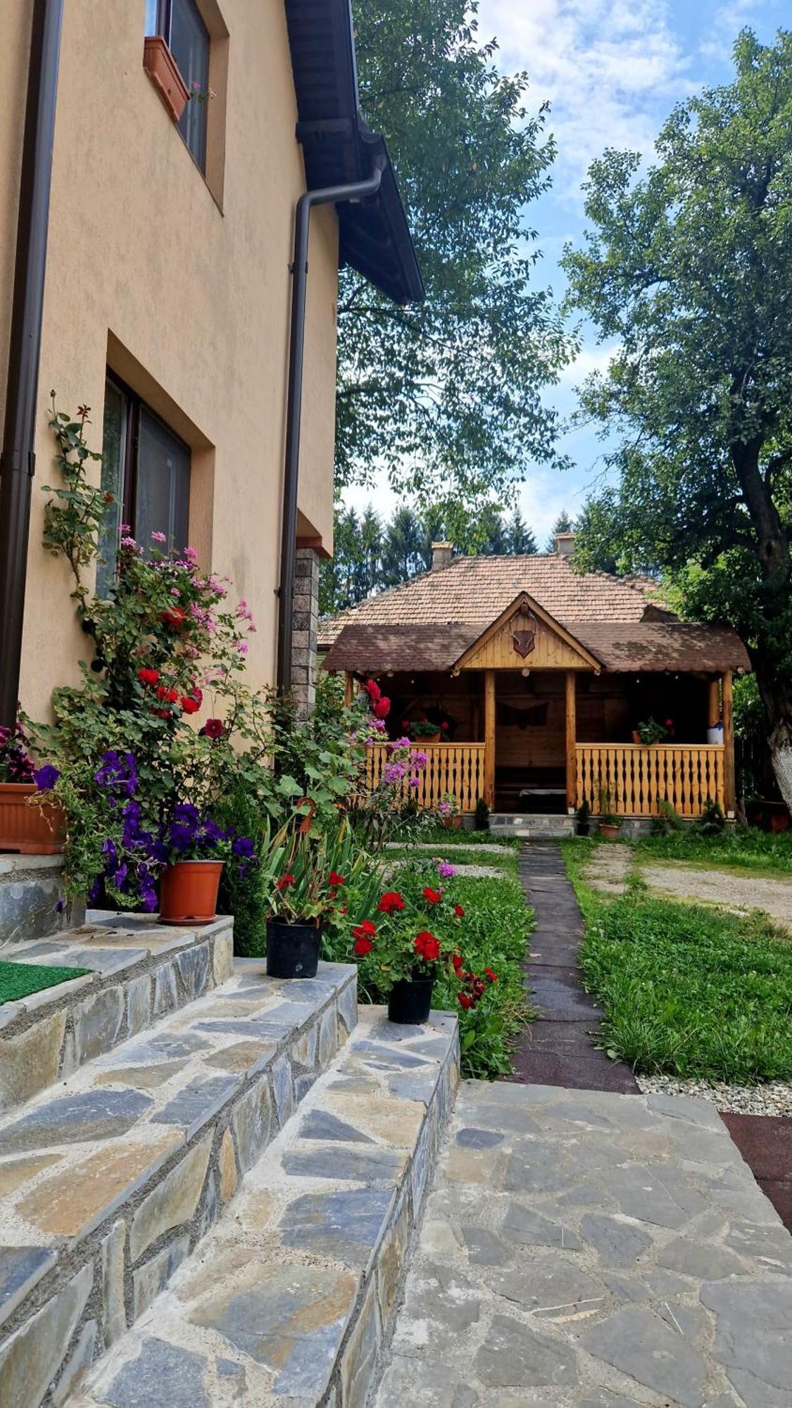 Casa Dorina Villa Bran  Exterior foto