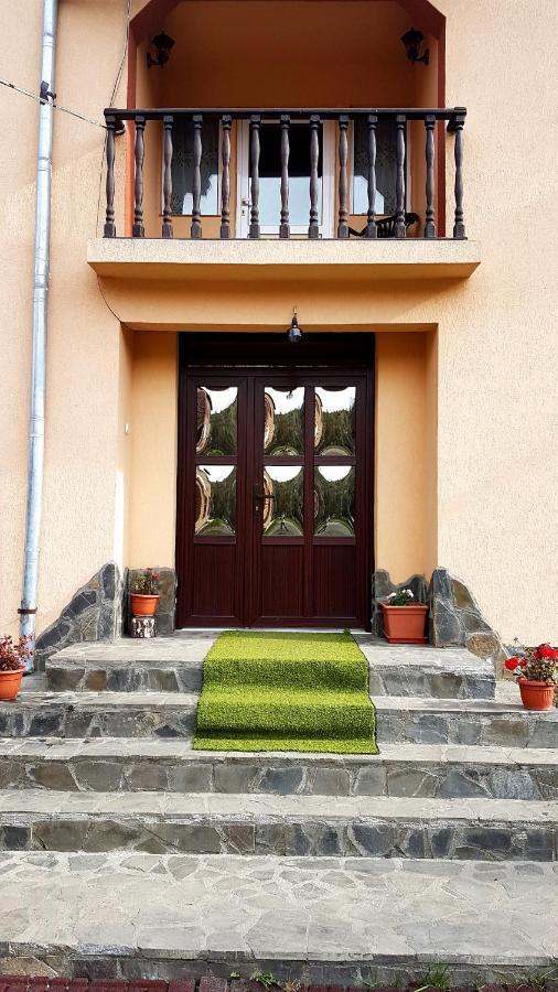 Casa Dorina Villa Bran  Exterior foto